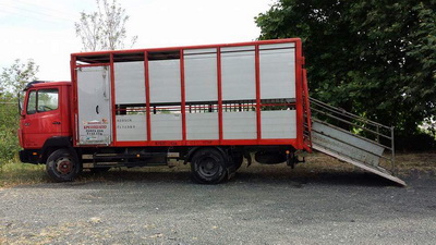 Αφοί Κρεοπωλεία Καλλέργη